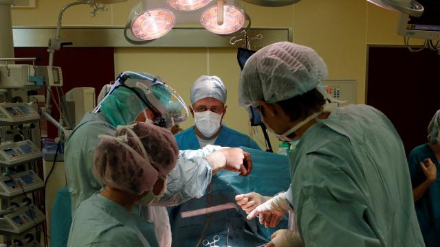 Hollanda’da yapay kalp nakli yapılan ilk hasta öldü