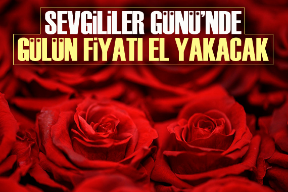 Gül fiyatlarındaki artış el yakıyor!